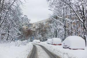 fresh snowbound city photo