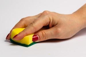 mano de mujer sosteniendo una esponja de limpieza aislada en un fondo blanco foto