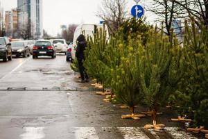 Traditional green christmas trees firs on street at xmas season the x mas trees waiting for buyers photo