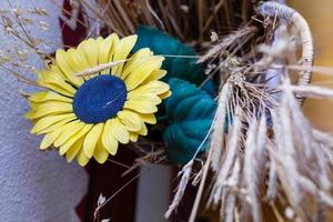 dry spikelets dry grass photo