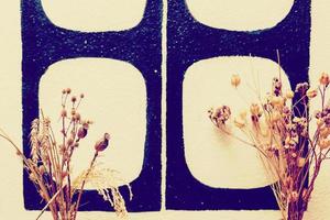 dry spikelets dry grass photo