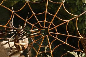 iron spider web with spider photo