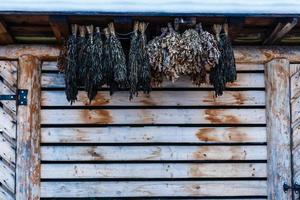 The birch brooms for a traditional steam room hang on a wooden wall photo