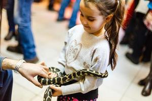 A young girl holds a small ball python the snake looks at the camera photo