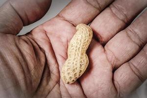 Food crisis concept. Starvation. 1 peanut in hand. photo