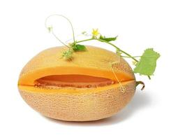 ripe juicy orange melon and cut piece with seeds, green shoot with leaves photo