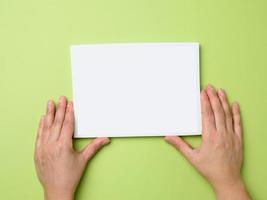 two female hands holding an empty white frame on a green background photo