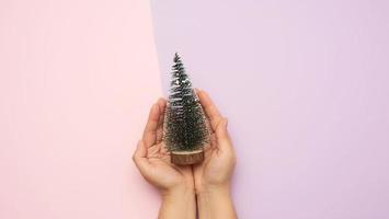 hands holding christmas decor green tree photo