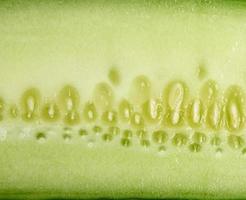 Rodaja de pepino verde textura, macro foto