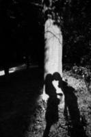a shadow on tree beautiful couple kisses, bw photo