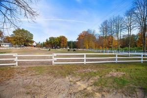 valla blanca de madera en un campo verde. hermoso cielo azul. los caballos pastan. foto