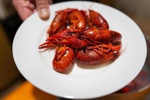 cangrejo de río apetitoso fresco rojo en un plato blanco. deliciosa comida para la cerveza. foto