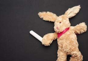 juguete de conejo de peluche beige con orejas largas y tiza blanca en una pata en una pizarra negra foto