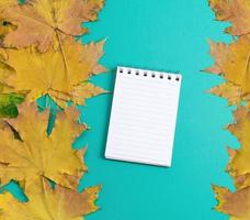 Open notebook in line with white blank pages on a green background photo