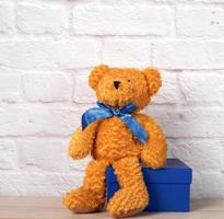 brown teddy bear and blue gift box, white wall photo