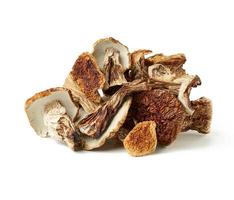dry forest porcini mushrooms isolated on white background photo