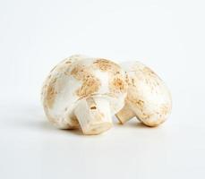 fresh cut mushrooms champignons on white background photo