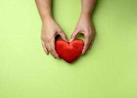 manos femeninas sostienen corazón textil rojo, fondo verde foto