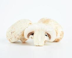 fresh cut mushrooms champignons on white background photo