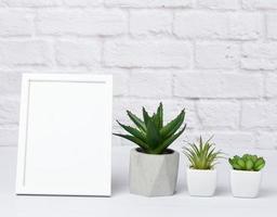 empty white wooden frame and green succulents in a ceramic pot photo