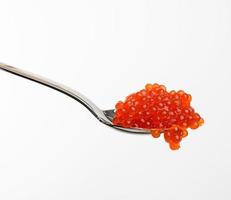 fresh grained red chum salmon caviar in metallic spoon, white background photo