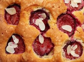 texture of baked sponge cake with plums, full frame, delicious dessert photo