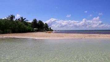playa tropical mexicana agua turquesa clara playa del carmen mexico.