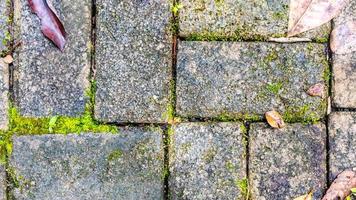 paving block with autumn leaves as background photo