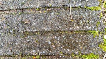 old concrete roads that have started to break down and are mossy photo