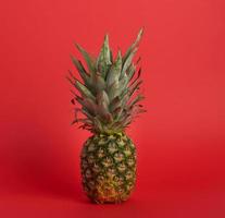 fresh whole pineapple on a red background photo