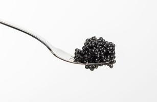 fresh grainy black paddlefish caviar in metal fork on white background photo