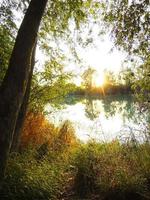 bosque sobre la puesta de sol foto