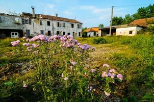 Abandoned Old House photo