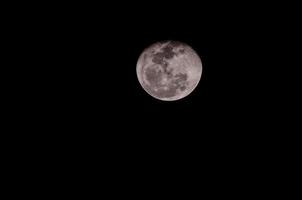 Close-up view of the moon photo