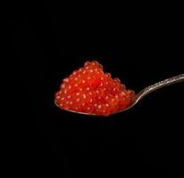 caviar de salmón chum rojo granulado fresco en una cuchara de metal foto