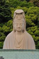 Buddha bust statue photo