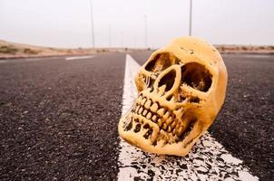 Skull on the road photo