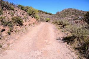 Scenic road view photo