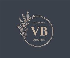 VB Initials letter Wedding monogram logos template, hand drawn modern minimalistic and floral templates for Invitation cards, Save the Date, elegant identity. vector