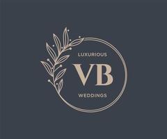 plantilla de logotipos de monograma de boda con letras iniciales vb, plantillas florales y minimalistas modernas dibujadas a mano para tarjetas de invitación, guardar la fecha, identidad elegante. vector