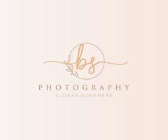 Initial BS feminine logo. Usable for Nature, Salon, Spa, Cosmetic and Beauty Logos. Flat Vector Logo Design Template Element.