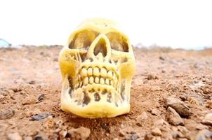 cráneo en miniatura en el suelo foto