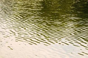 primer plano de agua de río foto