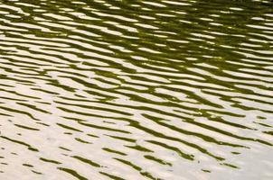 primer plano del agua del estanque foto