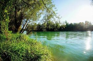 Forest view with river photo