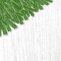 Holiday vector background with spruce branches and tree texture. Background with conifers and space for text. Christmas and New Year background.