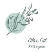 Olives arrangements in vector