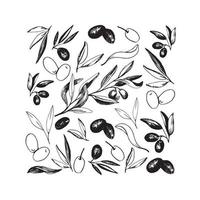 Olives arrangements in vector