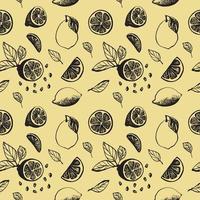 Cute hand drawn pattern with slices lemon with leaves and seeds for menu or recipe. Doodle vector illustration. Fresh and tasty.