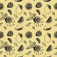 Cute hand drawn pattern with slices lemon with leaves and seeds for menu or recipe. Doodle vector illustration. Fresh and tasty.